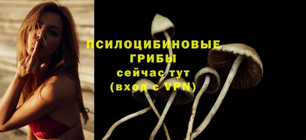 гидра Волоколамск
