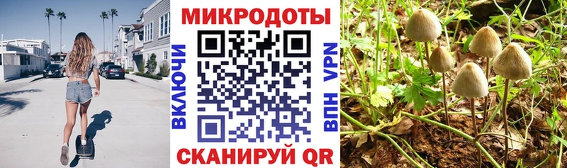 mega   Лысково  Псилоцибиновые грибы Psilocybine cubensis  даркнет сайт 